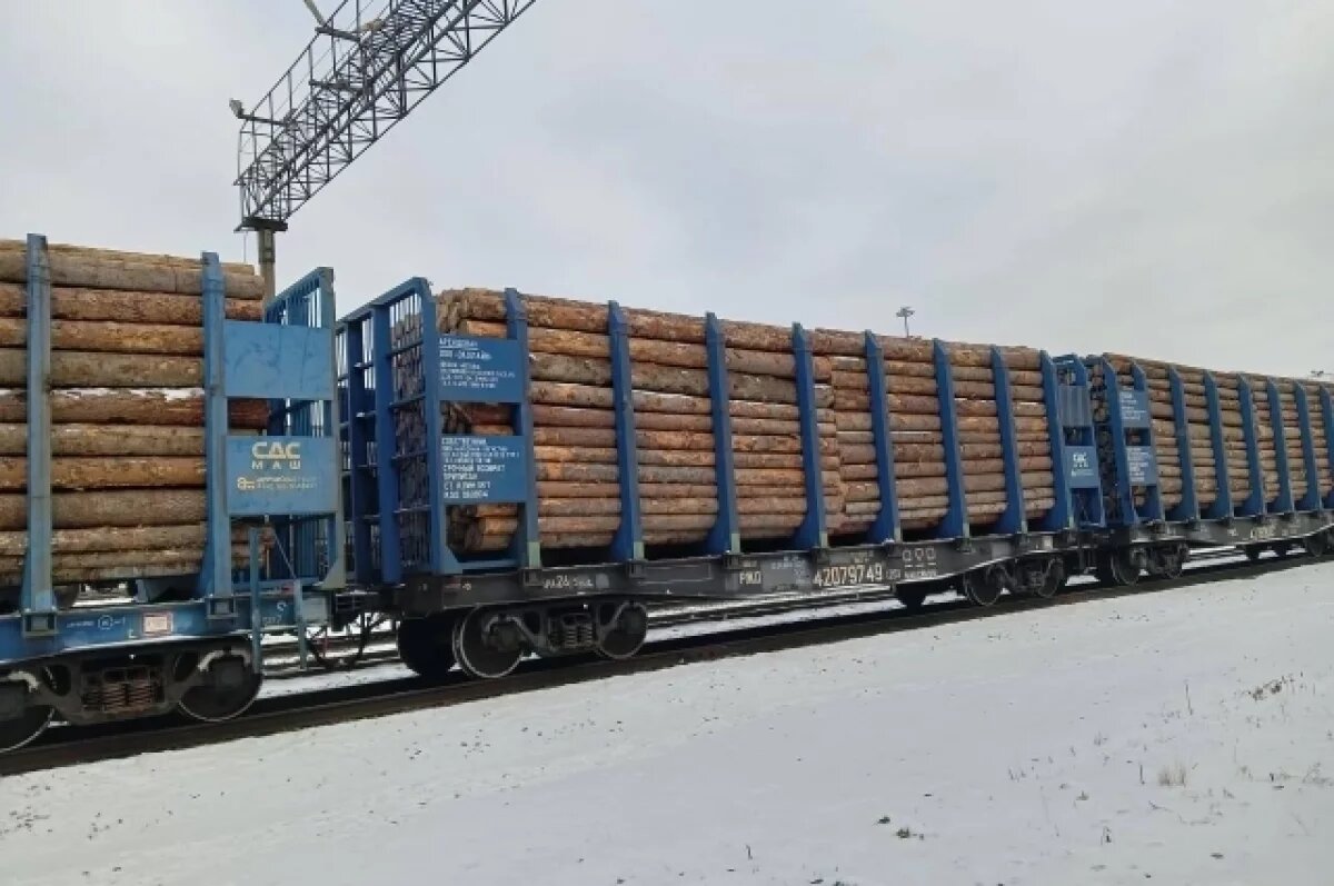    В Омской области осудили замдиректора лесхоза и его брата за кражу леса