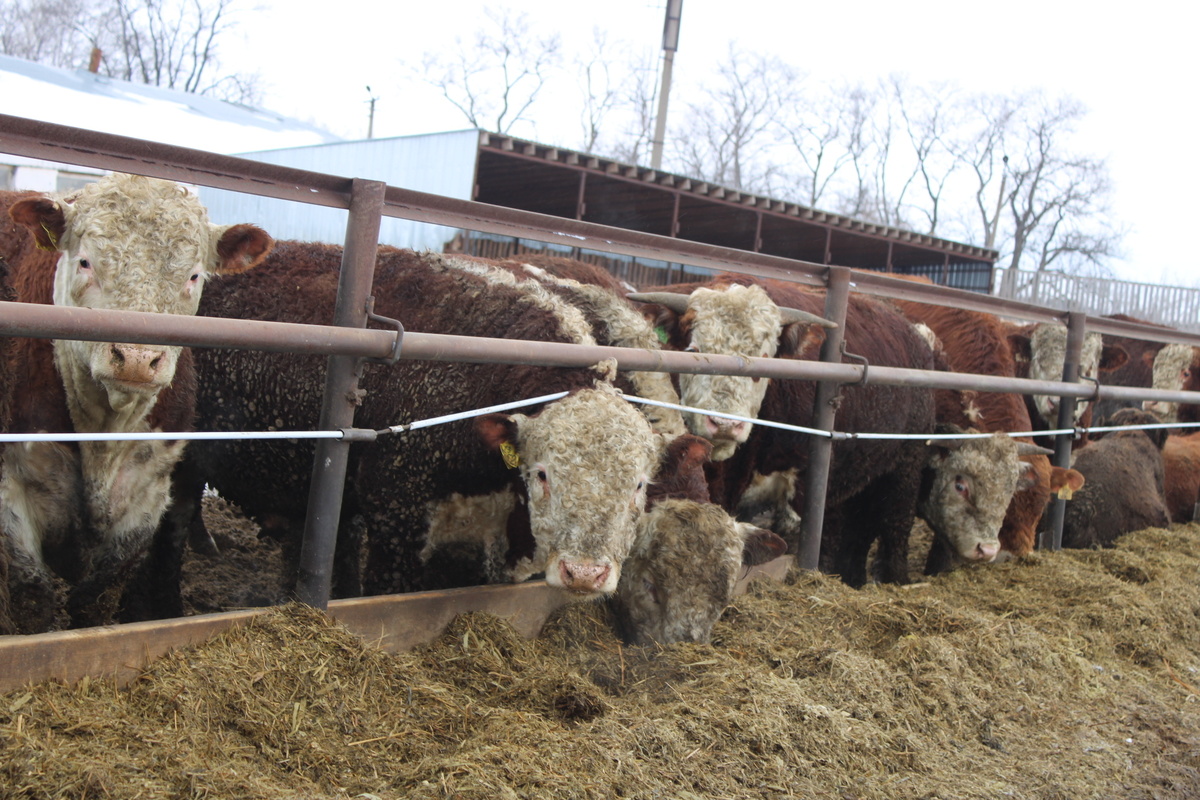      Башҡортостан аграрийҙары ярҙам алды