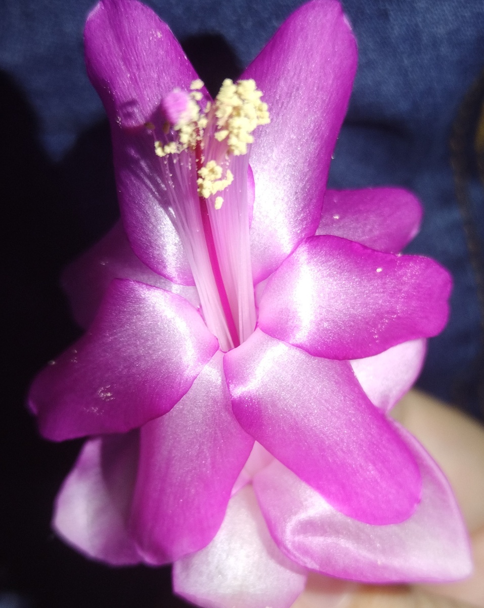 Цветочек для хороших Людей.  