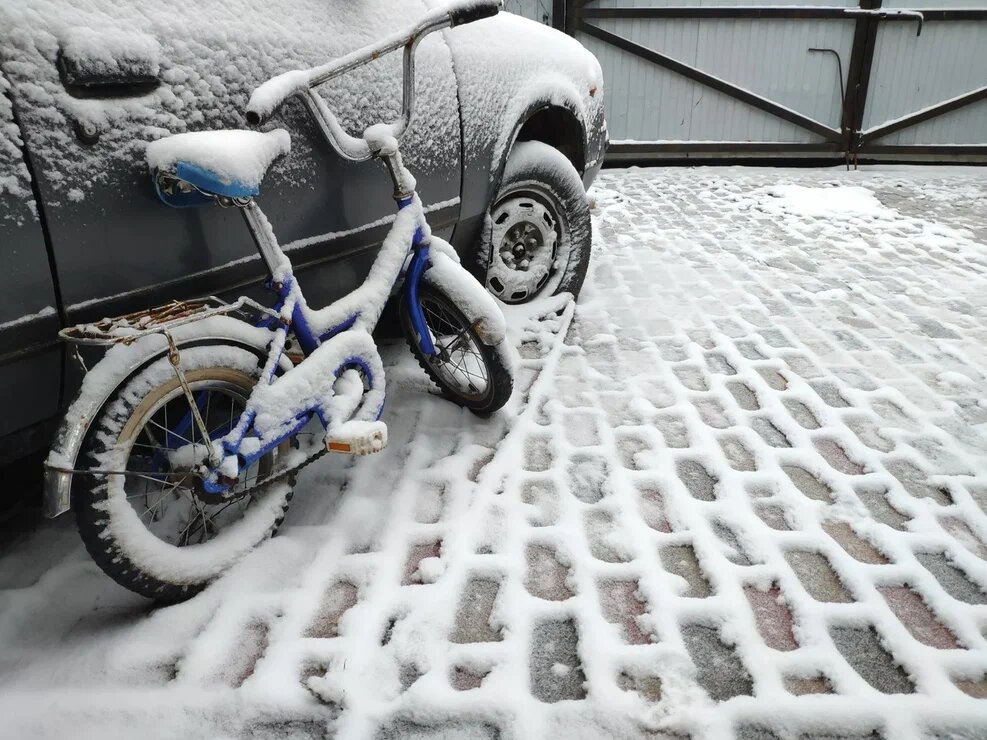    Фото: Царьград