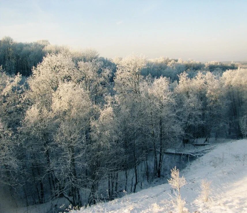    Фото: Царьград