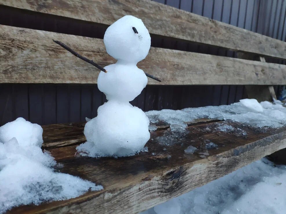    Фото: Царьград