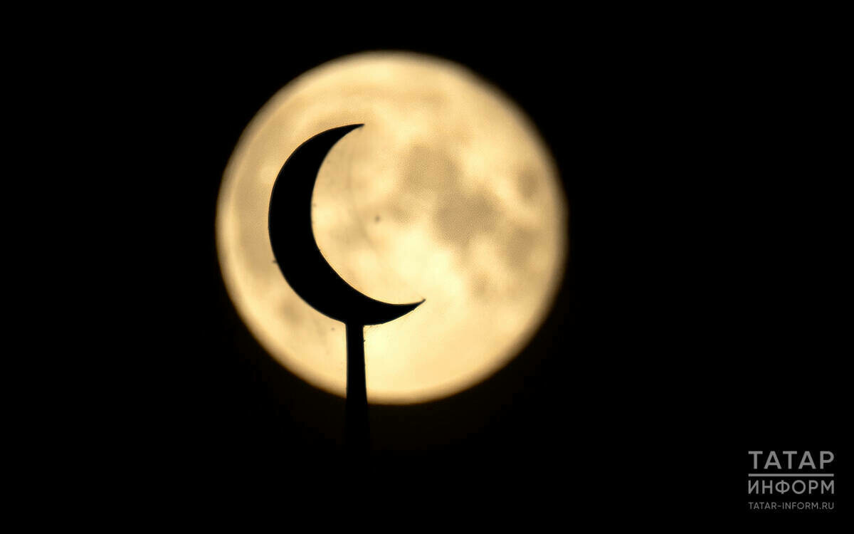 
Фото: © Владимир Васильев / «Татар-информ»