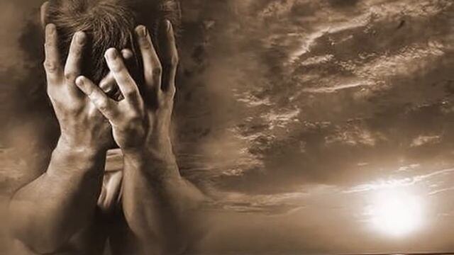 из интернета