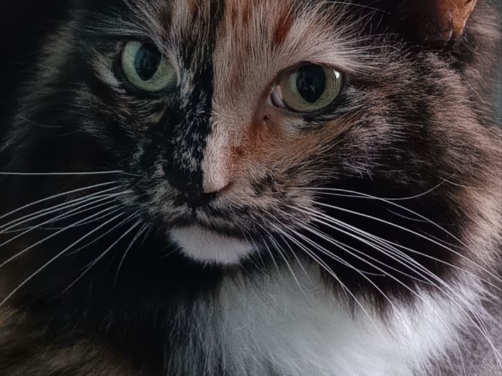 Бася с удивлением разглядывает Шушуньку и её утреннее занятие