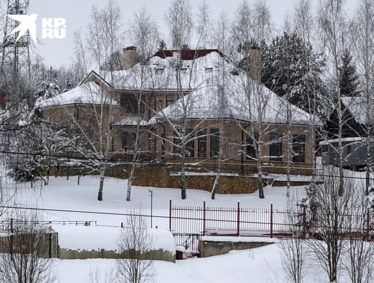    Дом Ларисы Долиной. Фото: «КП»