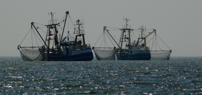 Каждый по-своему стремится принести пользу стране / Фото: pxhere.com