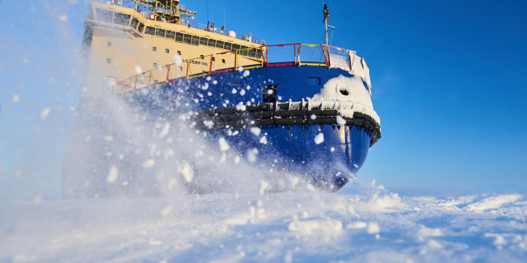 Наука о старении меняется: гренландская акула показала, что стареть — не значит болеть