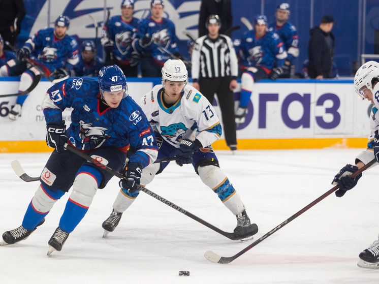     Фото: Андрей Холмов/ХК «Лада»
