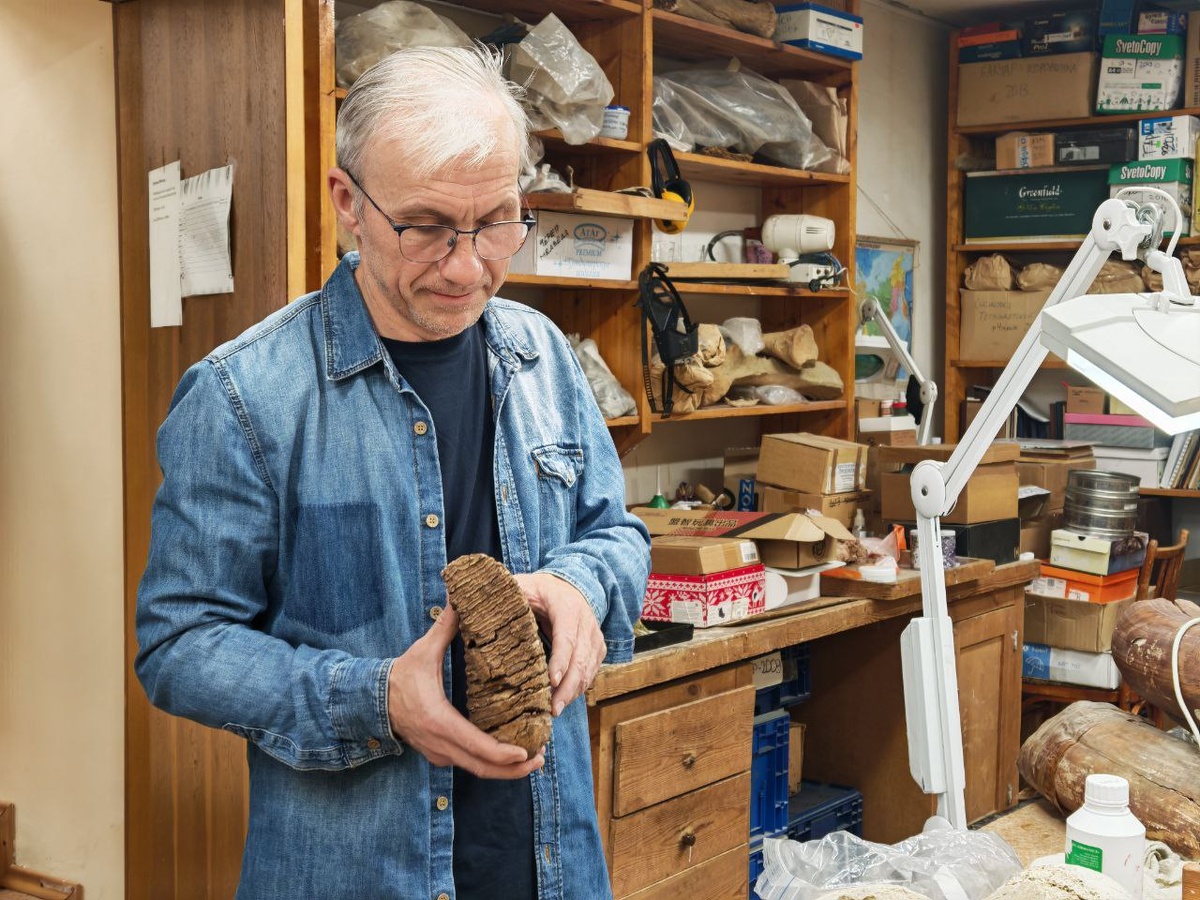 Палеонтолог ТГУ Сергей Лещинский