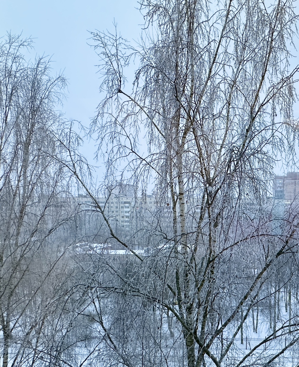 Вид из окна