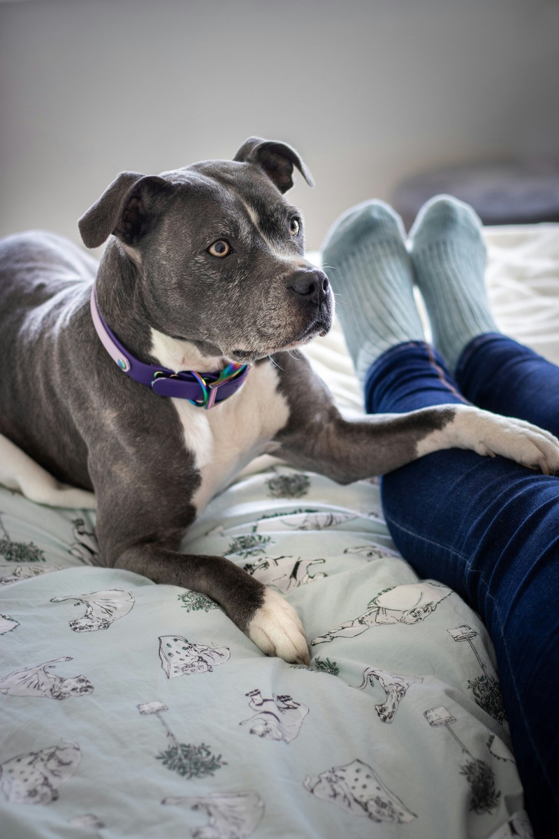    Сбалансированные нагрузки — залог физического и психического здоровья стаффа