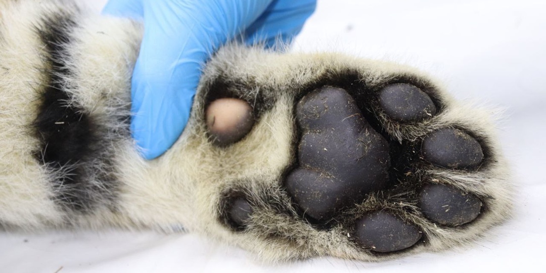 Всем доброе утро