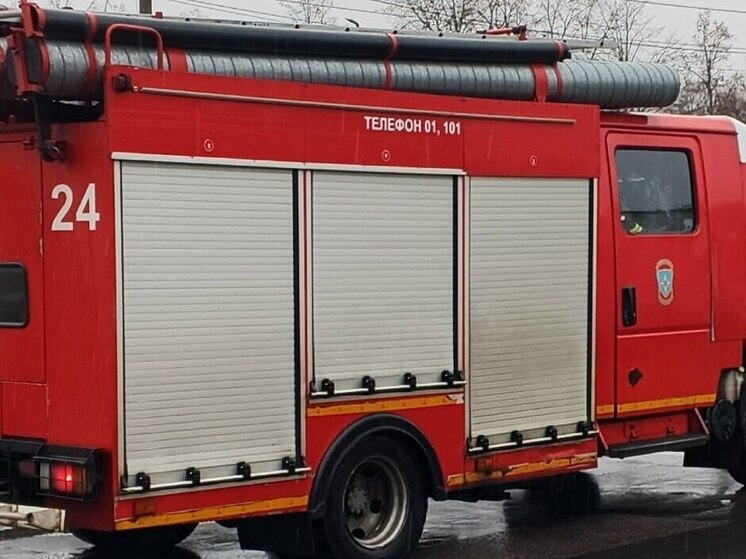     фото: архив мк в Мурманске.