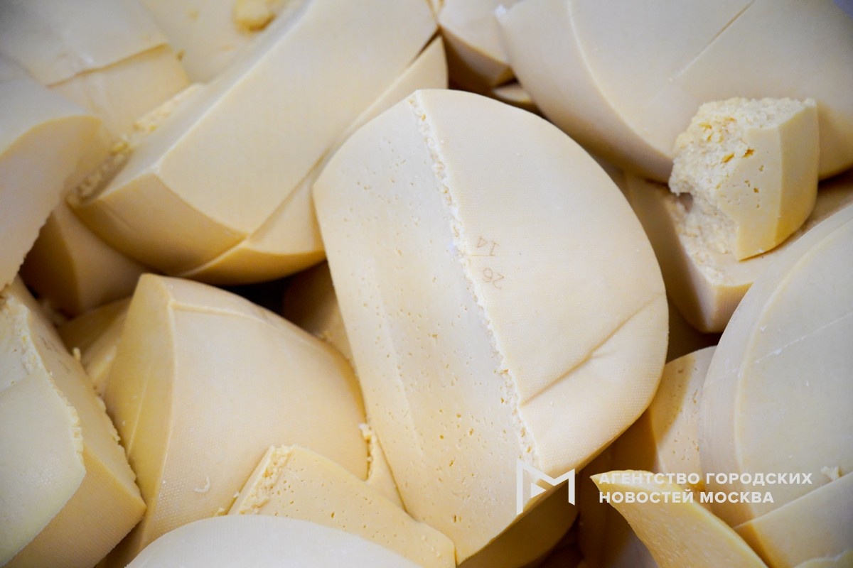 Фотограф: Александр Авилов