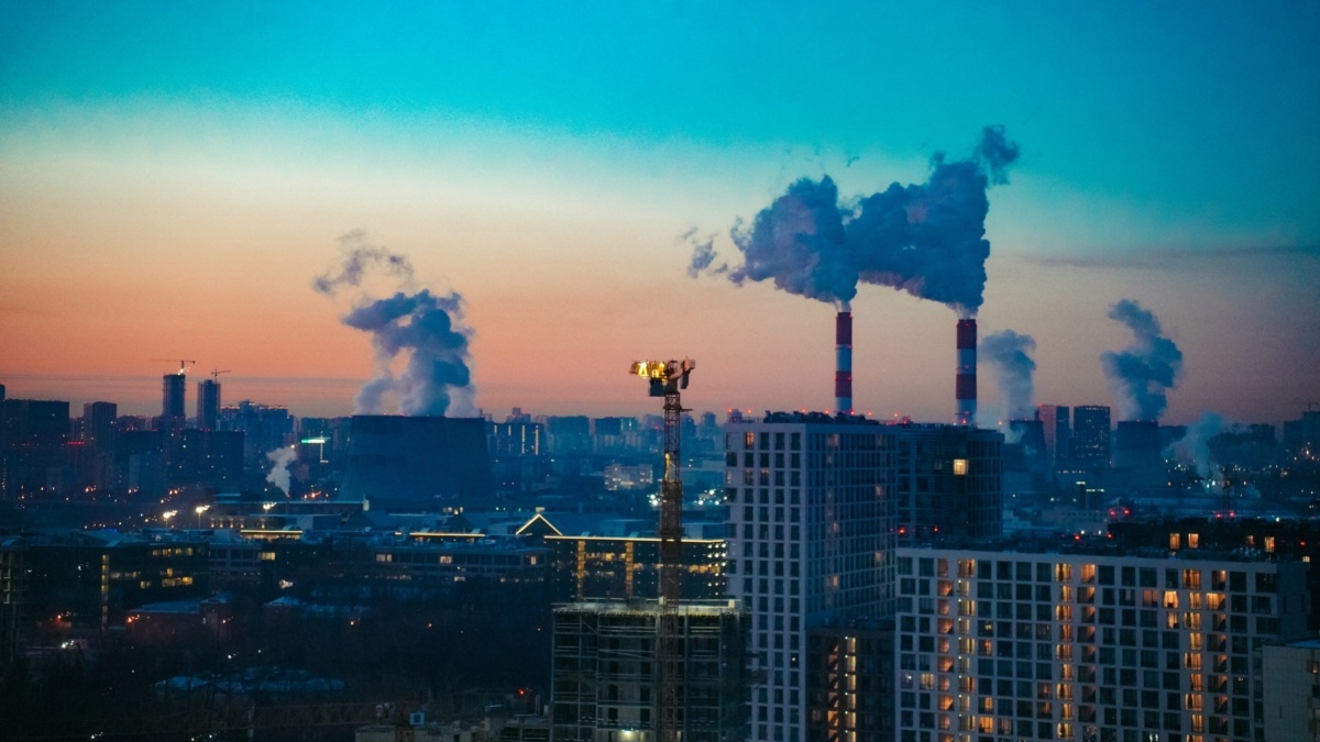 Светлана Мулыкина📷
