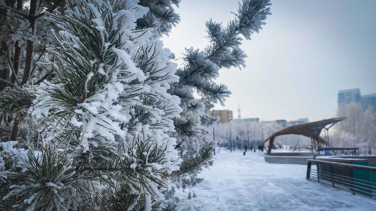    Еще одна волна лютых морозов до -41 °C подступает к Омску   1MI