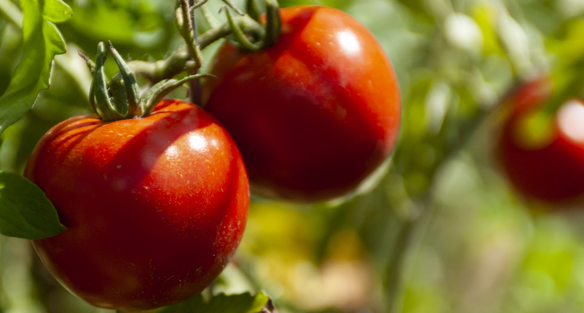    Изображение от wirestock на Freepik