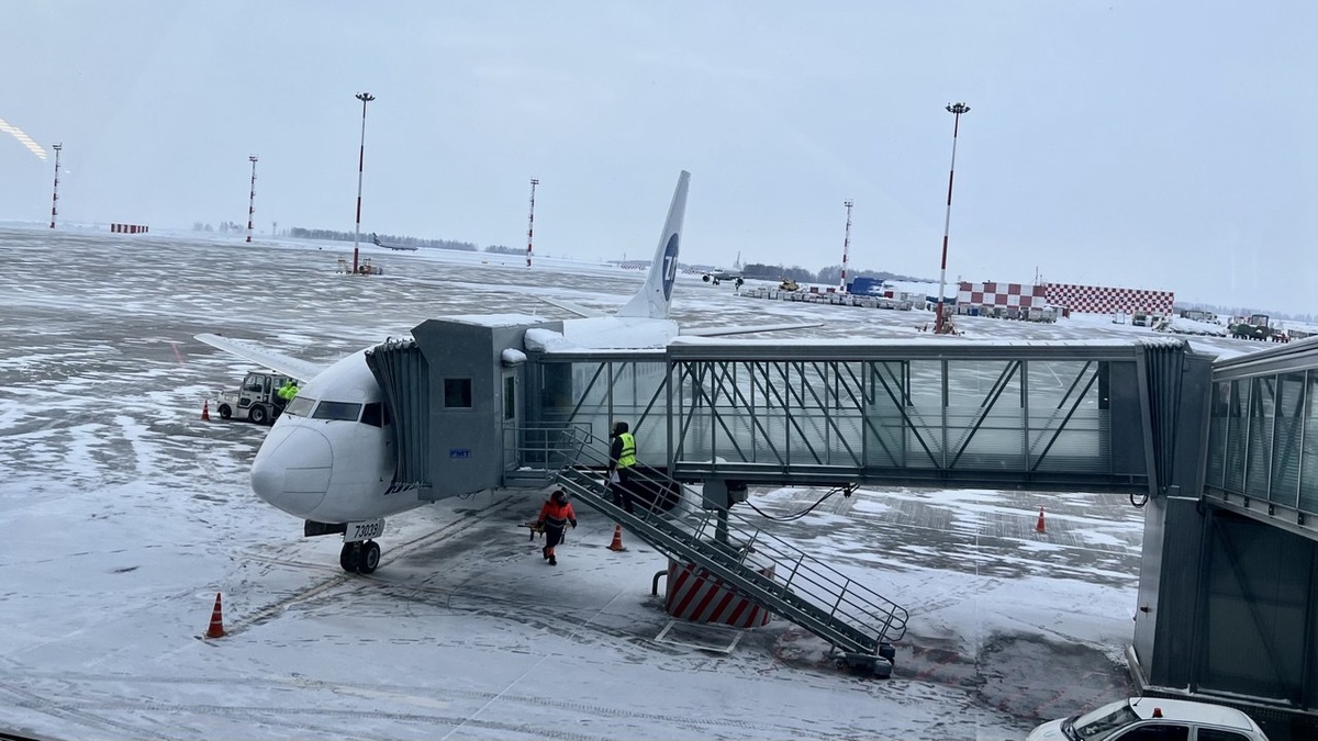    Анна Сальникова