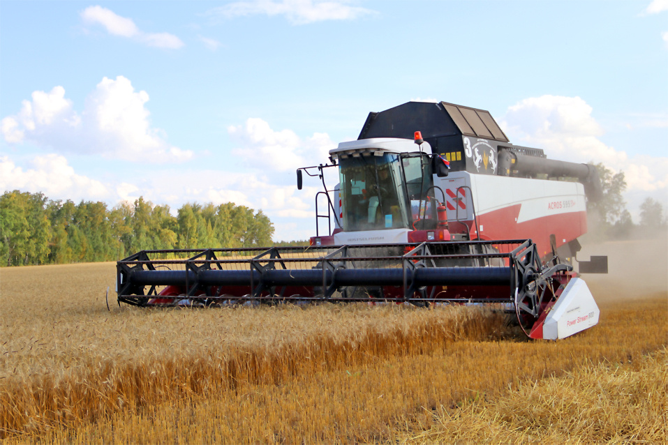    Фото из архива ngt54.ru