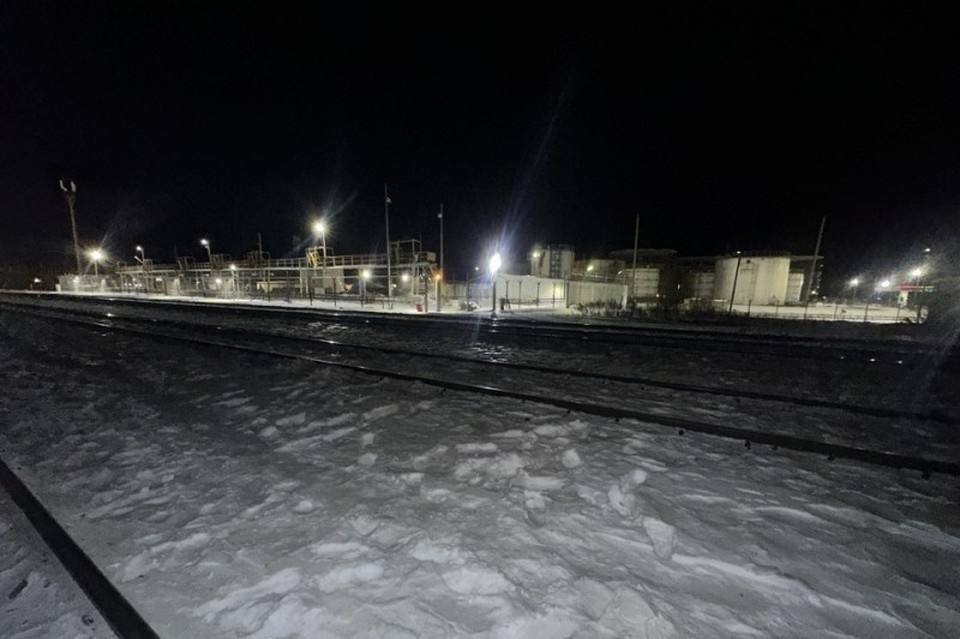    При рывке пострадавшая ударилась о сцепку и упала в межрельсовое пространство, но ее правая нога осталась на рельсах. Фото: Управление на транспорте МВД России по УрФО