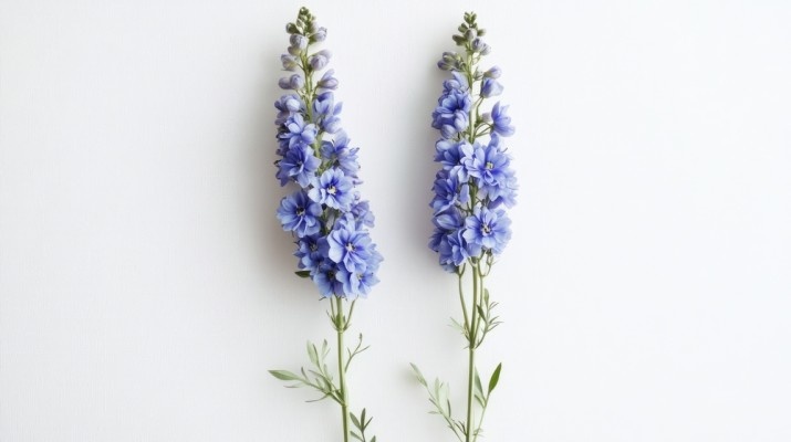 Источник фото shutterstock.com