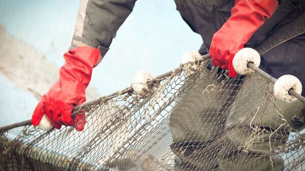    © Depositphotos.com / zorandim