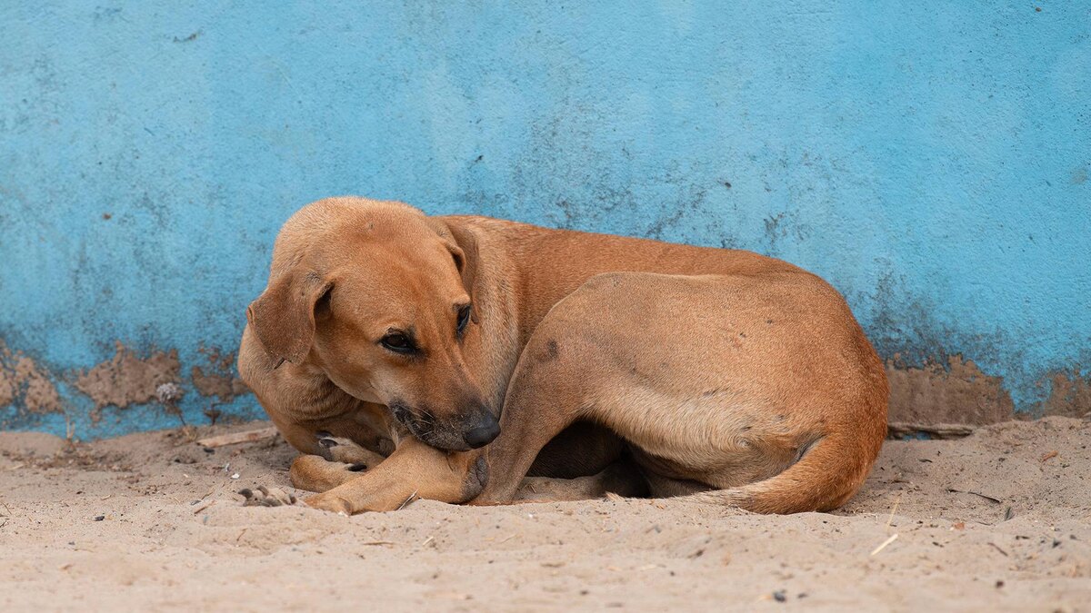    Фото: IMAGO/Zoonar.com/Berit Kessler/globallookpress.com