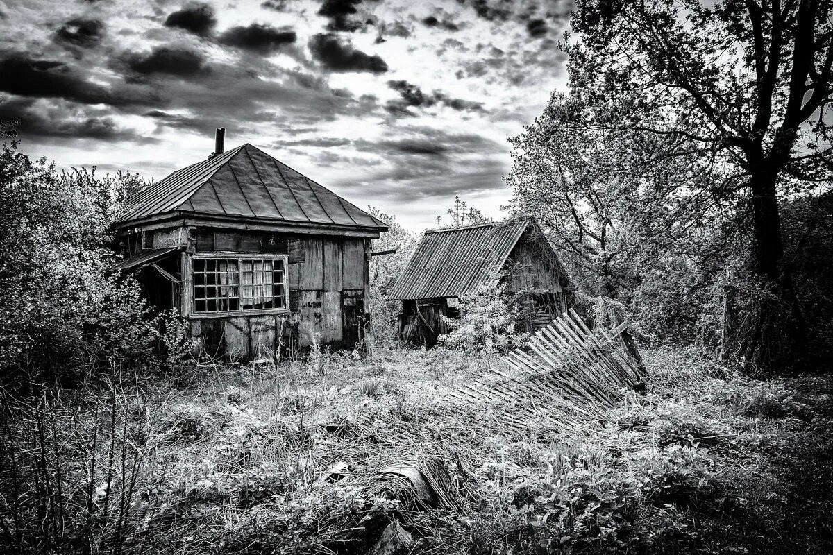 Взято из открытых источников интернета Яндекс