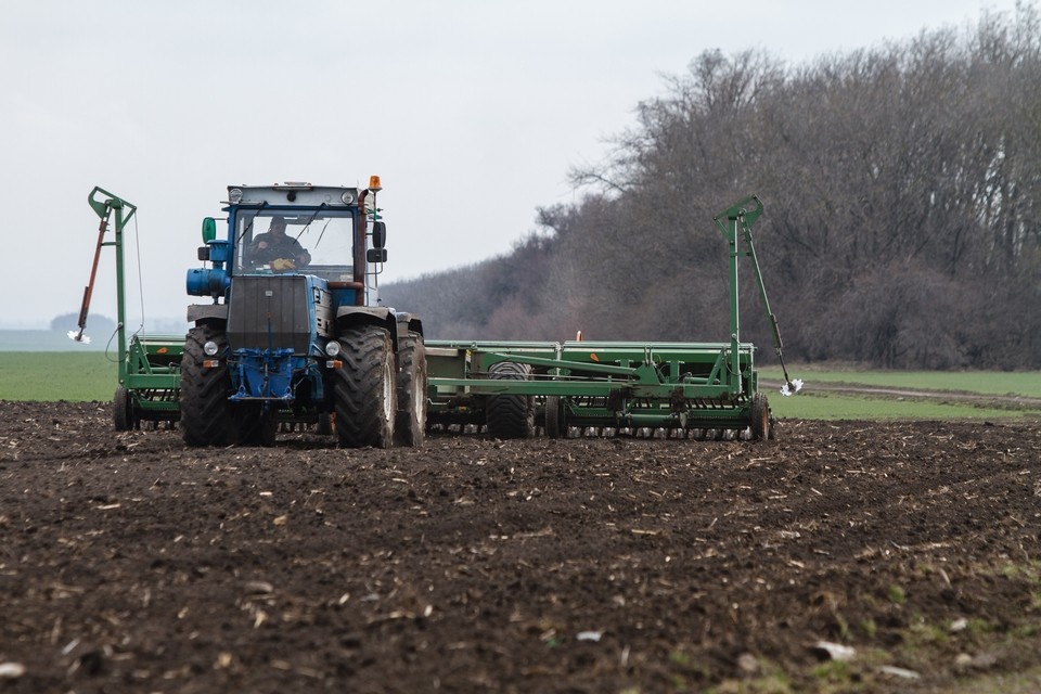    На Дону завершили сев озимых с превышением плана. Дмитрий АХМАДУЛЛИН