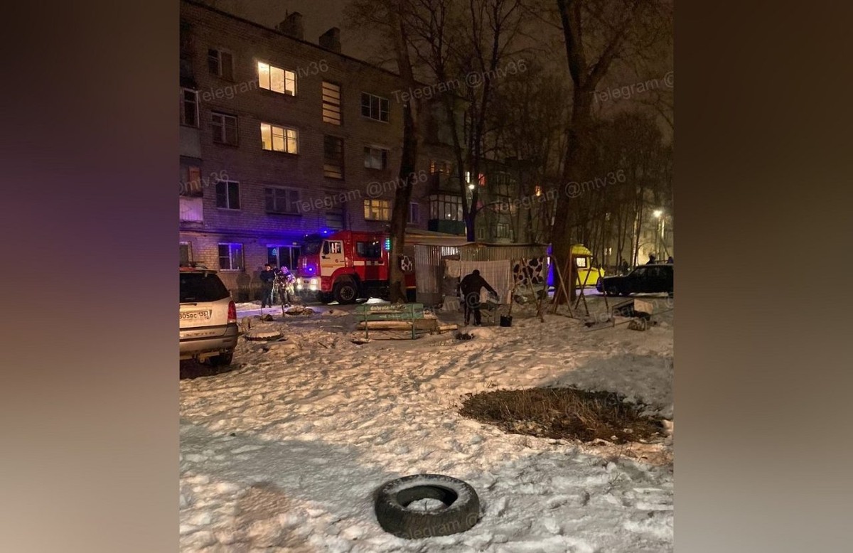     Фото: t.me/mtv36