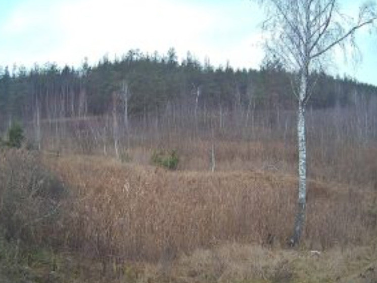     Фото: Россельхознадзор