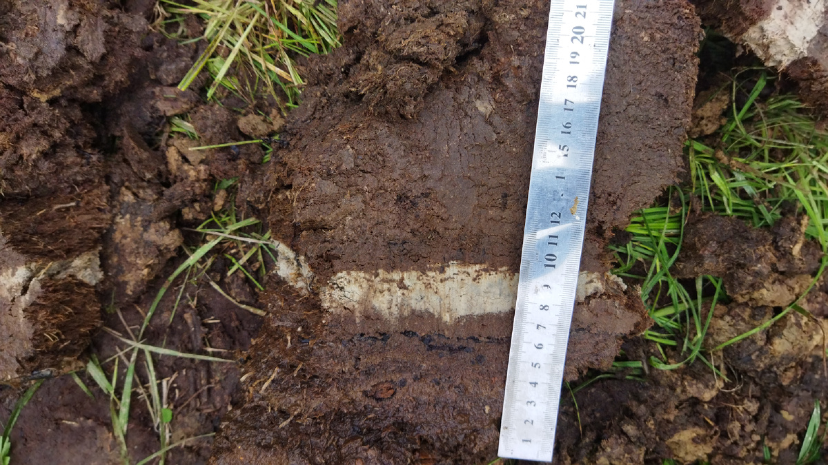 Слой пепла в торфяных отложениях среднего течения р. Палана. Источник: Мария Певзнер