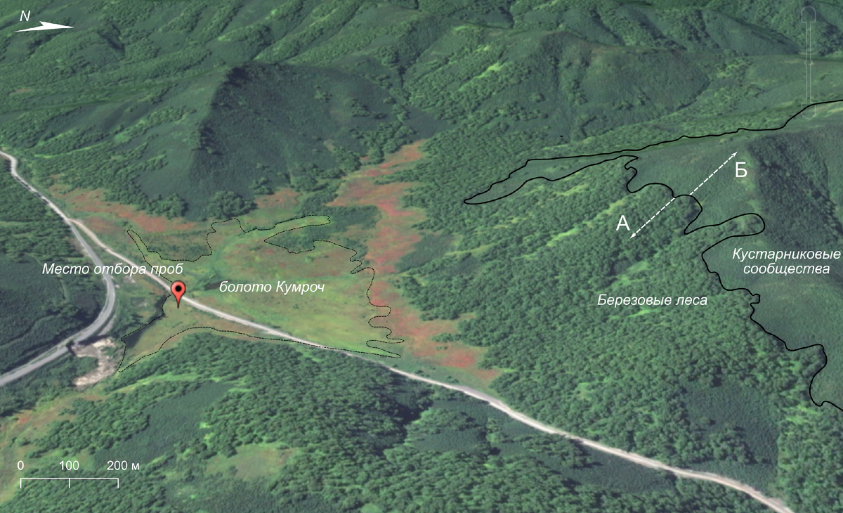 Космический снимок болота – объекта исследования в межгорной котловине хребта Кумроч. Чёрная линия обозначает границу древесных и кустарниковых сообществ, белые стрелки – потенциальное смещение растительных сообществ при относительном потеплении (В) и похолодании (А). Источник: Валерий Пименов