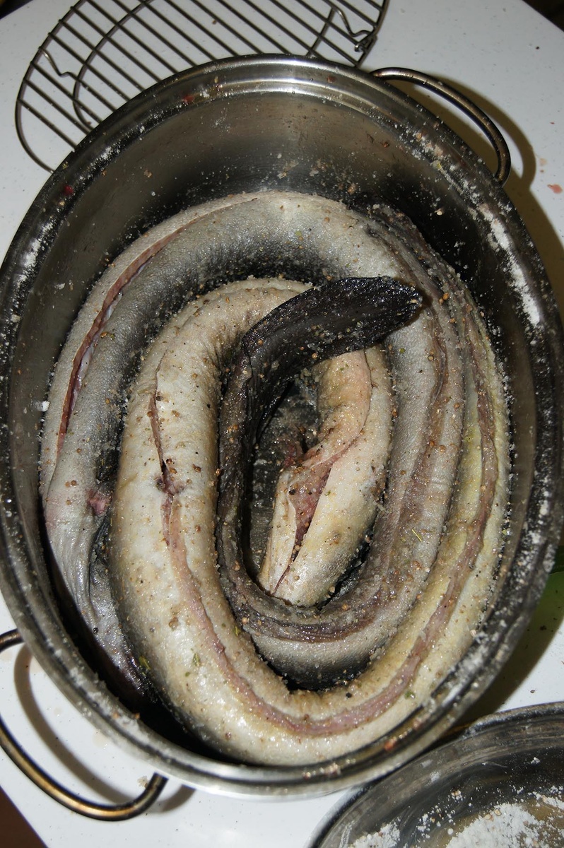 угри наши, Мигаловские, выловлены тверскими рыбаками-моим другом лётчиком Юрой и другом Серёгой)