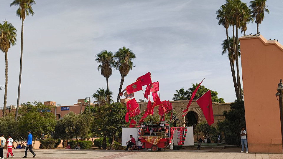 Воронежцы больше всего боятся посещать арабские и азиатские страны из-за языкового барьера