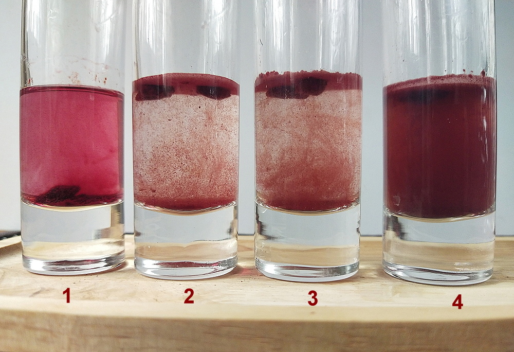 Растворы пигмента в различных средах: 1-уксусная кислота 70%, 2 - водный щелочной раствор, 3 водный подкисленный раствор, 4- спирт 70% 