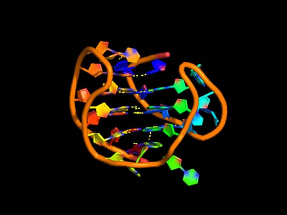    Модель G-квадруплекса / ©helixray, YouTube