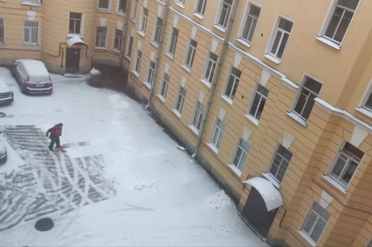    Петербурженка с собачкой поцарапала Mercedes соседа