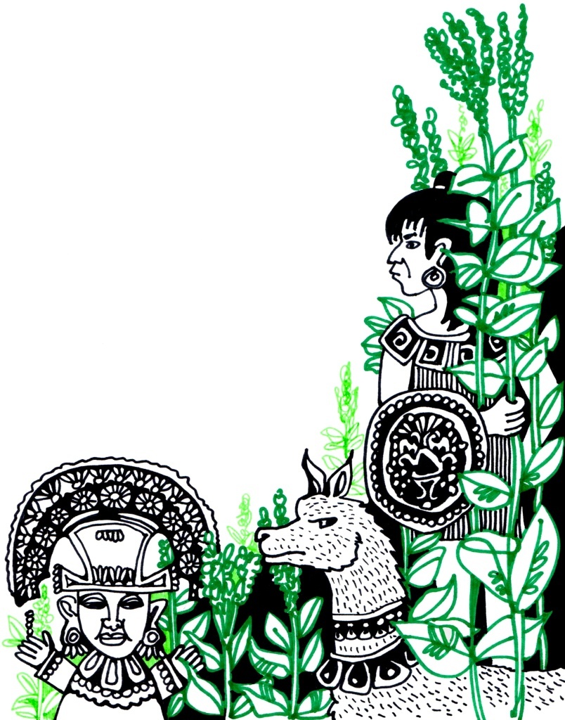 Иллюстрации Натальи Колпаковой