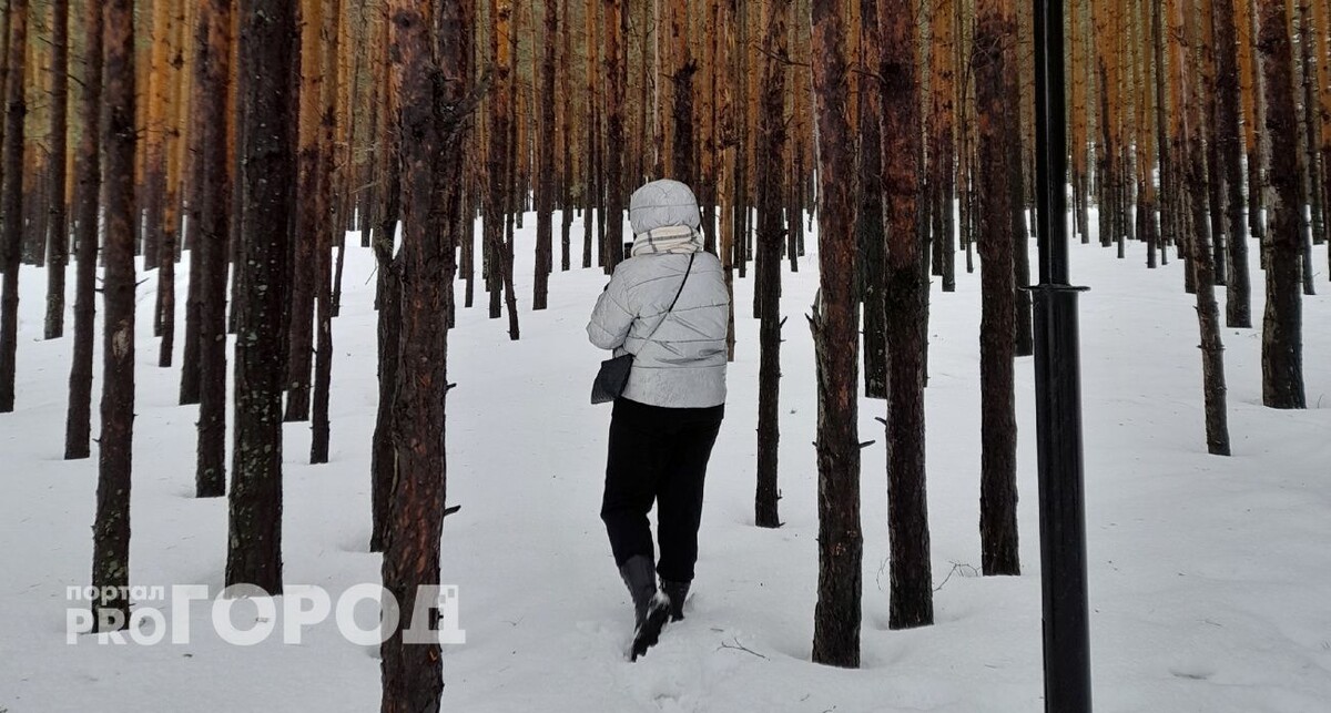    Из архива "Про Город"