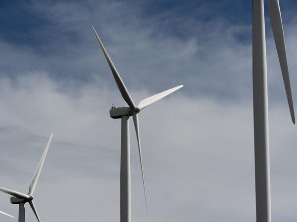    © AP Photo / Jenny Kane