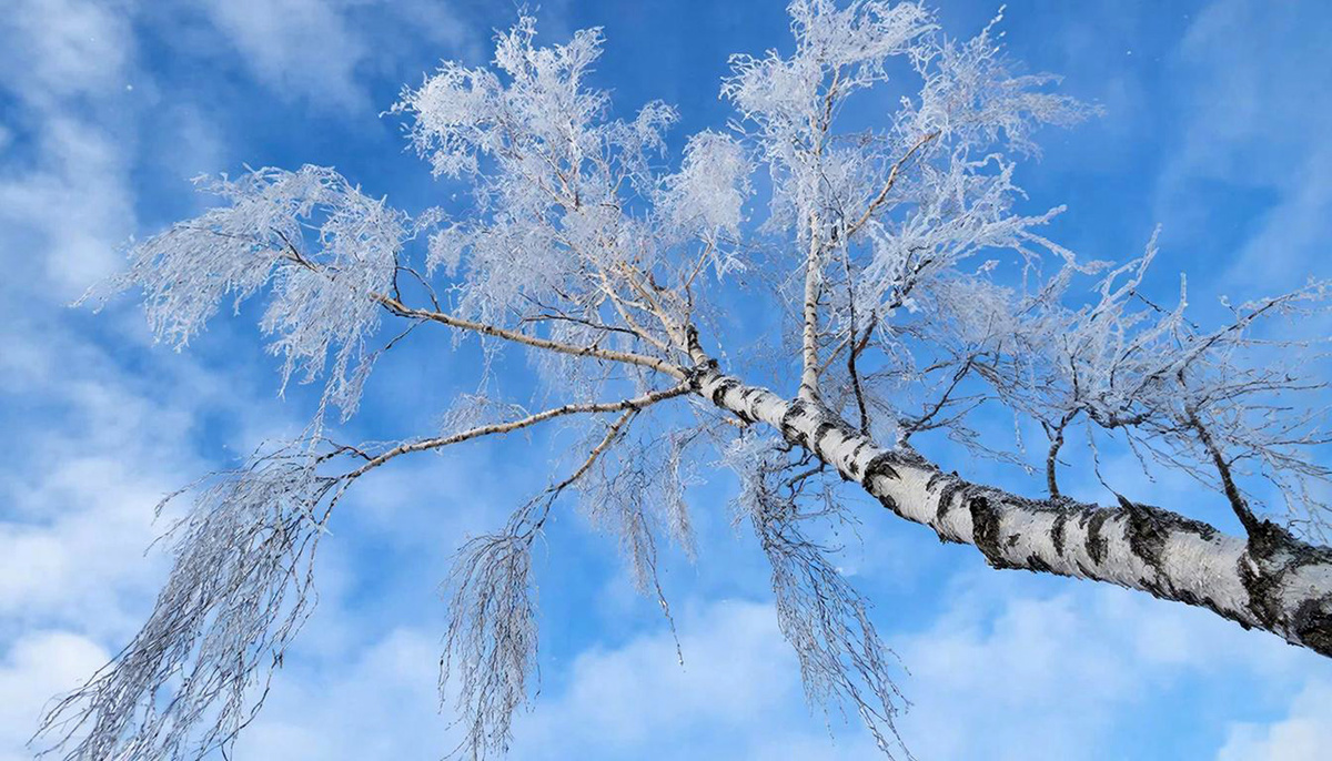 Спасатели советуют отказаться от дальних прогулок и поездок.  Фото: Изображение сгенерировано с помощью ИИ / Светлана Возмилова