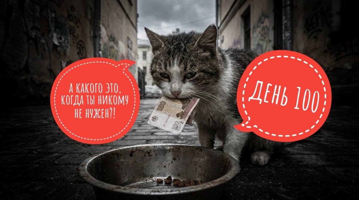 Помогите, пожалуйста, НА КОРМ и лекарства!