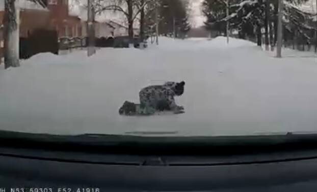    Ребенок поскользнулся и упал под колеса машины в Бугуруслане