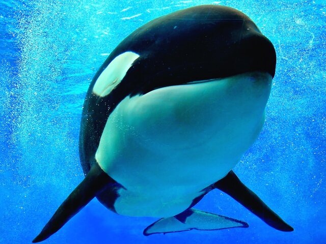    Фото: depositphotos/JHPhotography