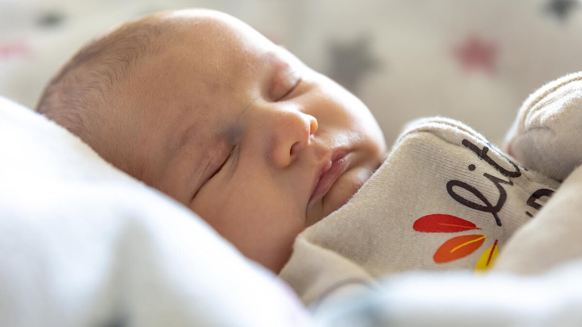    Фото: freepik.com/pvproductions