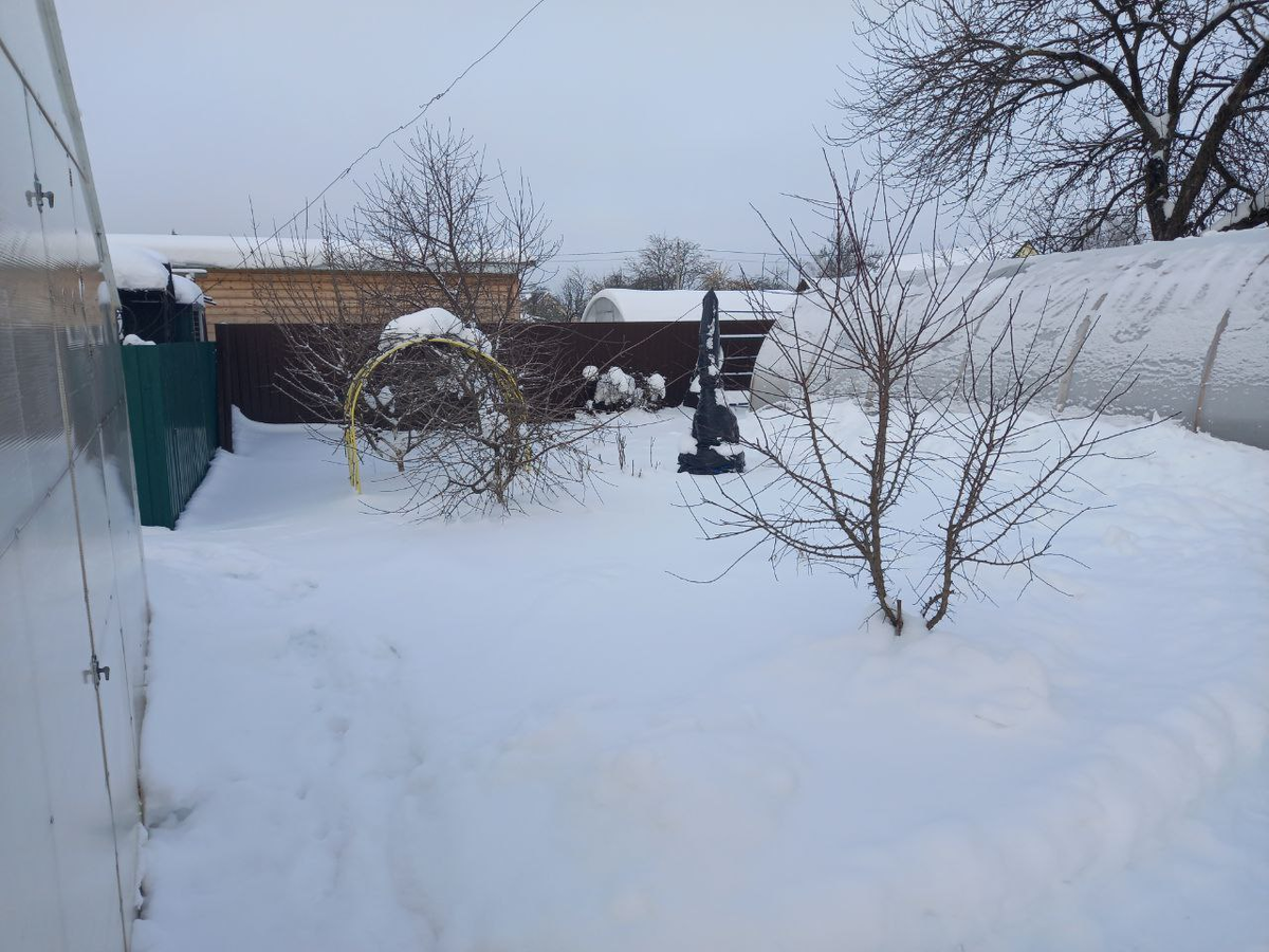 Сугробы на участке. Фото автора.