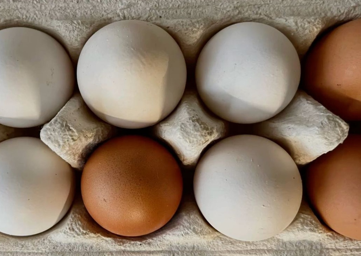 Как варить яица