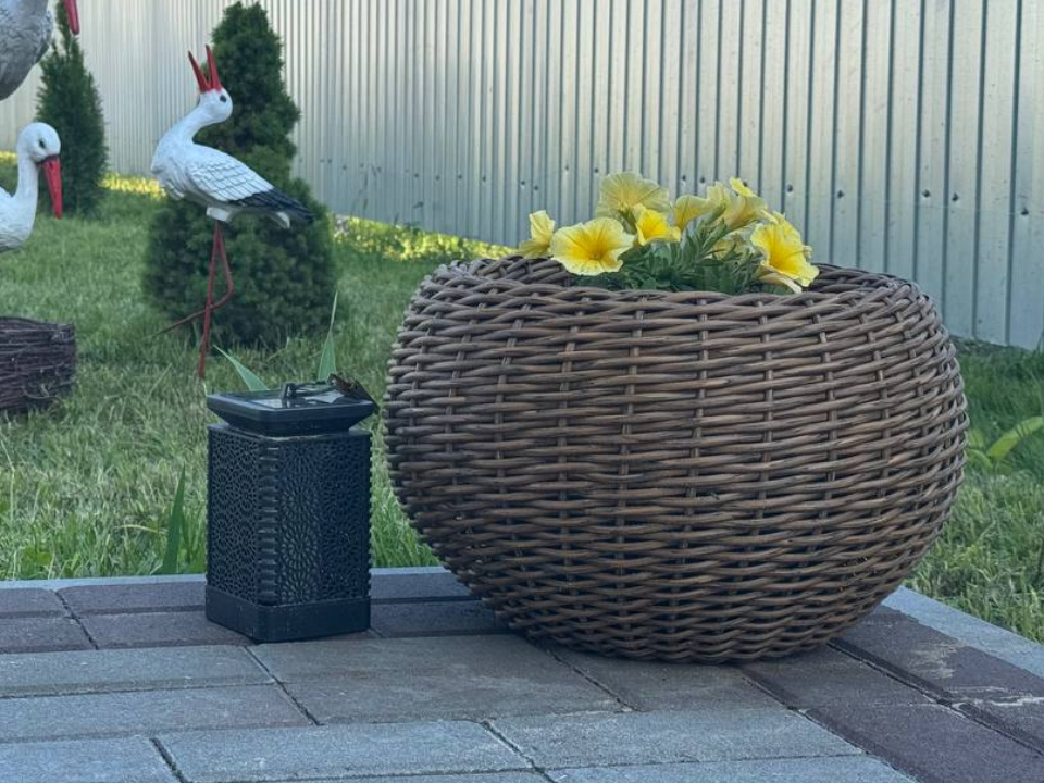     Фото: REGIONS/Евгения Макаренко